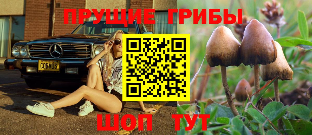 Галлюциногенные грибы Magic Shrooms  что такое   Фролово  Вход с VPN 
